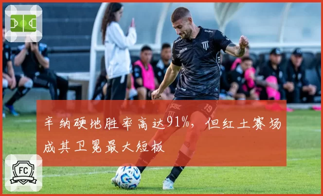 辛纳硬地胜率高达91%,但红土赛场成其卫冕最大短板