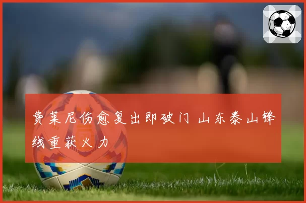 费莱尼伤愈复出即破门 山东泰山锋线重获火力